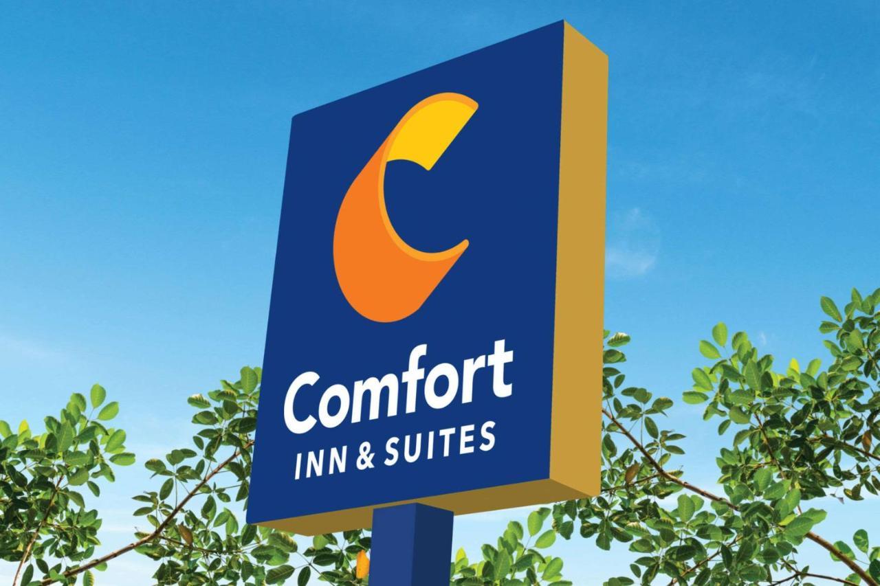 Comfort Inn & Suites Munising-Lakefront Dış mekan fotoğraf